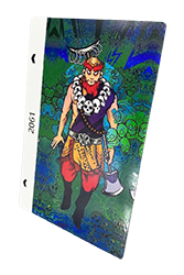 защитная пленка абориген пленка на заднюю часть корпуса абориген